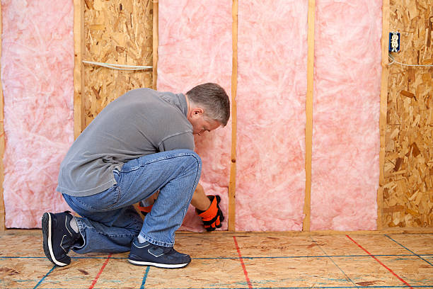 Best Eco-Friendly Insulation in Cave Creek, AZ